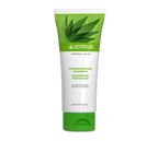 Herbal Aloe Fortifying Shampoo (250 ml)
